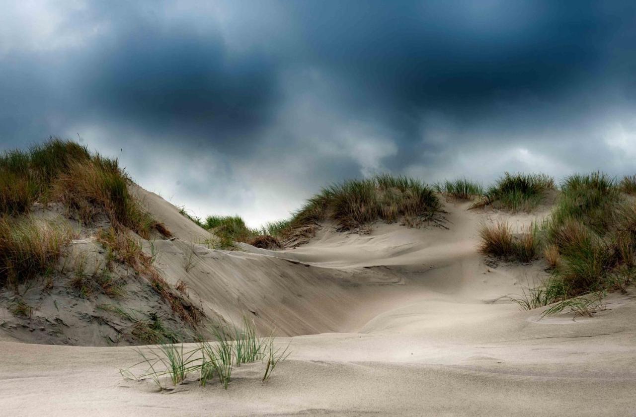Insellandhotel Michaelsen Borkum Island Dış mekan fotoğraf